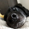 Espresso the Mini-Lab