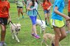 Sunni the Summer Camp Graduate Pup