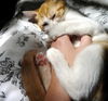 Minou the Sweet Kitten