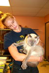 Panther the Blue Point Siamese