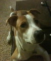 Devan aka Barkley