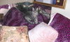 Chowder the Kitten