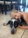 Carlton the Pointer