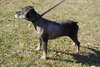 Ceaser  aka Burt
