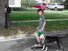 Metro the Survivor Terrier