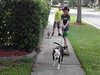 Metro the Survivor Terrier