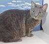 George the Big Ol' Sweetie