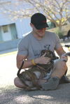 Chip the Bulldog Puppy