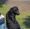 Kody