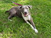 Tika the Beautiful Girl