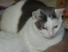 Levi Laid Back and Loving