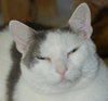 Levi Laid Back and Loving