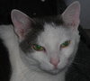 Levi Laid Back and Loving