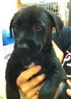 Colbie Mae the Sweetie