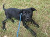 Colbie Mae the Sweetie