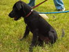 Colbie Mae the Sweetie