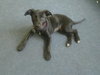 Colbie Mae the Sweetie