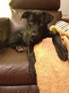 Colbie Mae the Sweetie
