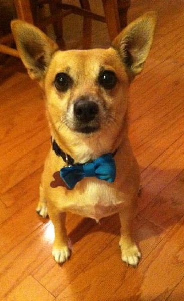 Pez the Little Man