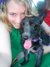 Thatcher the Scottie Mix