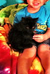 Cleo the Docile & Loving Kitten