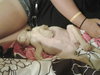 Hula the Yellow Retriever Puppy