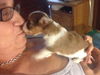 Ellie the ABC Puppy