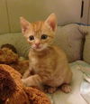 Rusty the Sweet Baby Boy