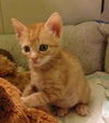 Rusty the Sweet Baby Boy