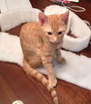 Rusty the Sweet Baby Boy