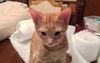 Rusty the Sweet Baby Boy