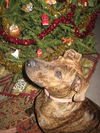 Erin, Waiting Too Long!