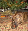 Erin, Waiting Too Long!