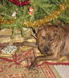 Erin, Waiting Too Long!