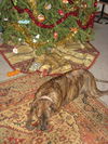 Erin, Waiting Too Long!