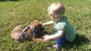 Rio the Olympic Shepherd Blend Puppy
