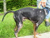 Kohl the MinPin