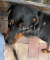 Kohl the MinPin