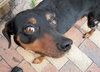Kohl the MinPin