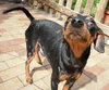 Kohl the MinPin