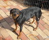 Kohl the MinPin