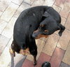 Kohl the MinPin