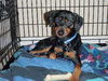 Kohl the MinPin