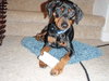 Kohl the MinPin
