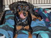 Kohl the MinPin