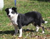 Rue the Sweetie