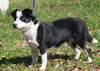 Rue the Sweetie