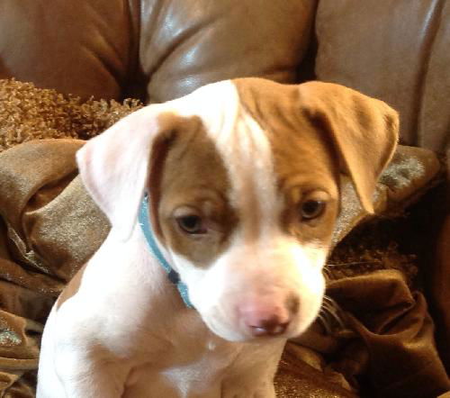 Gigi ~ a little tomboy