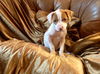 Gigi ~ a little tomboy