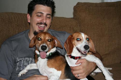 Gudis the Beagle